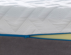 12" Plush Gel Memory Foam Mattress only